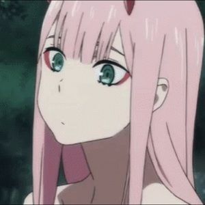 Meet your Posher, Zulemy